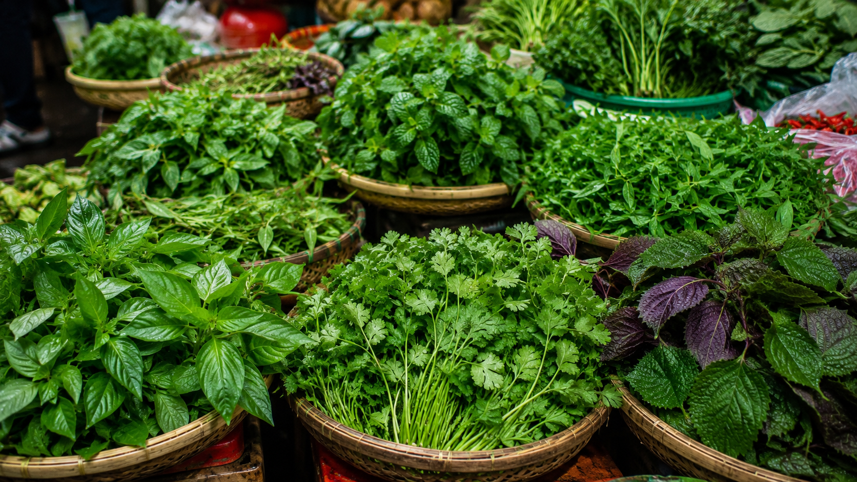 Fresh Vietnamese herbs sold at a local market