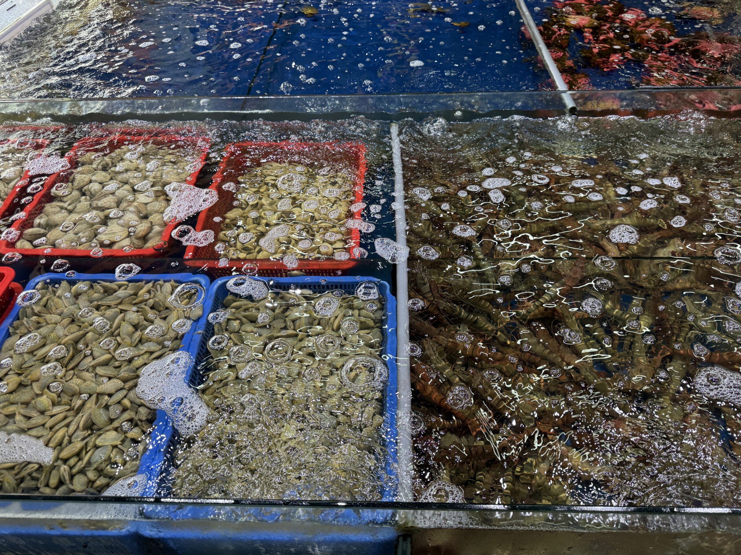 Live seafood tanks with shellfish and prawns at Lang Chai Da Nang